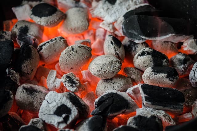 bbq